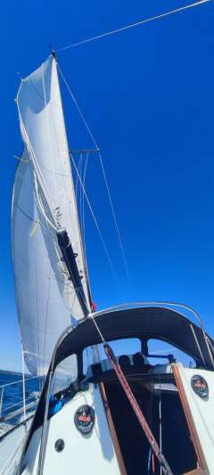 Kalik/Lewin Kalik 30