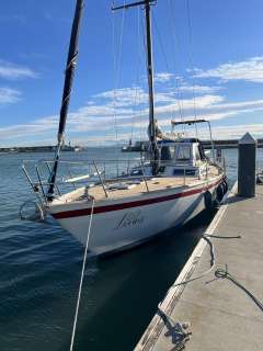 Noord Nederland Suncoast 43