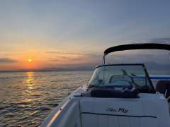 Sea Ray 240 Sundeck