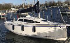 Northman Maxus 26