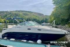 Sea Ray 255 DAE