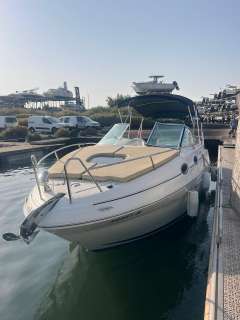 Sea Ray 255 DA
