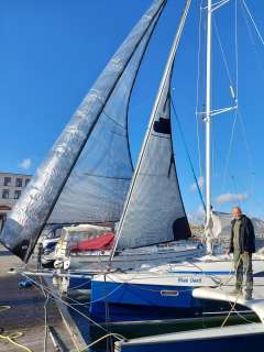 Quorning Dragonfly 28 Sport, stratosblue