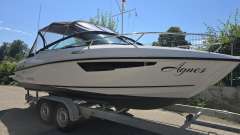 Flipper 650 DC 2025 wie