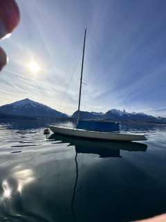 Polyform Soling, zeitlose Eleganz Daysailer