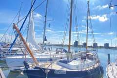 Bloemsma Makkum Danish flower 35ft