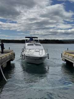 Sealine F33