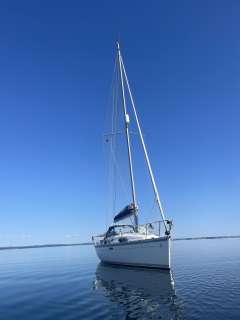 Beneteau Oceanis 311