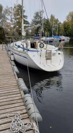 Bavaria 31