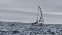 Reinke 10M Aluminium