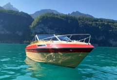 MerCruiser Century 40000 S MCM 228 Motorboot-Klassiker