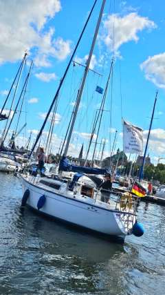 Cobra Segelboot Segelyacht