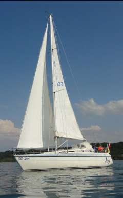 Larsmo Marin Avance 318