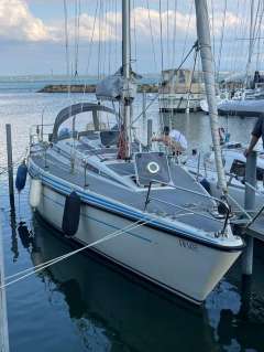 Larsmo Marin Avance 318