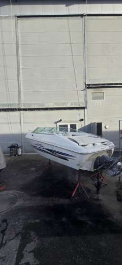 Wellcraft EXCALIBUR 20 Motoscafo