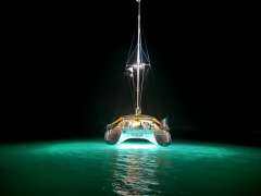 Alliaura P495 Alliaura P495