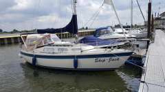 Hurley 800