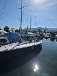 Maxi Dolphin Joker Maxi Dolphin Joker