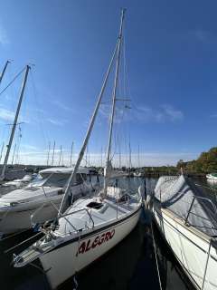 Delphia Sportina 680