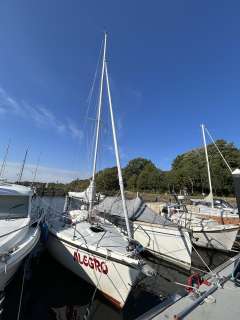 Delphia Sportina 680