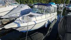 Seaswirl Striper 2150 Walkaround