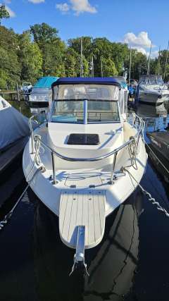 Seaswirl Striper 2150 Walkaround