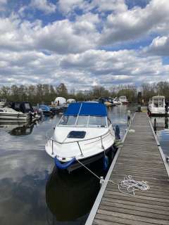 Bayliner Classic
