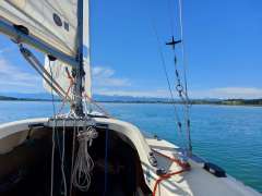 Portier Yngling Barca da regata