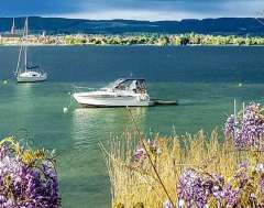 Fairline Carrera 24 –