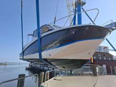 Quicksilver 705 Activ Cruiser