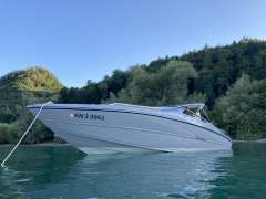Stingray 225 SX