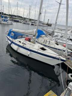 Forgus 31