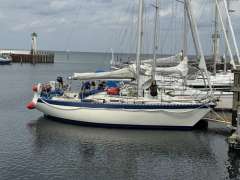 Forgus 31