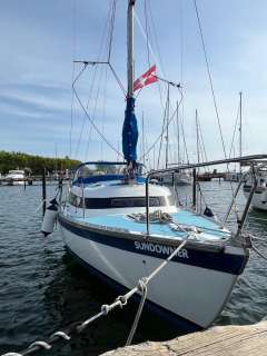 Newbridge Virgo Voyager