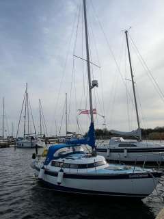 Newbridge Virgo Voyager