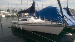 Keltic Halftonner Daysailer