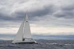 Hanse 385