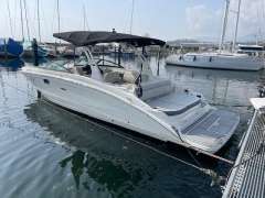 Sea Ray SDX 270 Yacht a motore