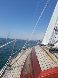 Wirz Wilante Voilier classique