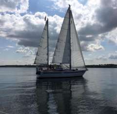 Aphrodite 40