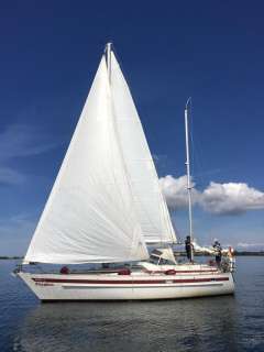 Aphrodite 40