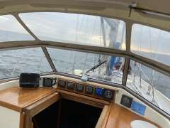 Aphrodite 40