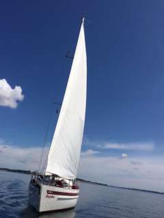 Aphrodite 40