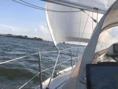 Mallard Ecume de Mer