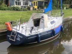 Mallard Ecume de Mer