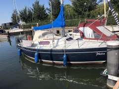 Mallard Ecume de Mer