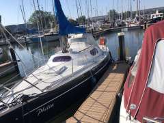 Mallard Ecume de Mer