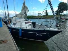 Mallard Ecume de Mer