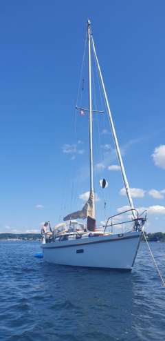 Dauelsberg Wattenkreuzer 820