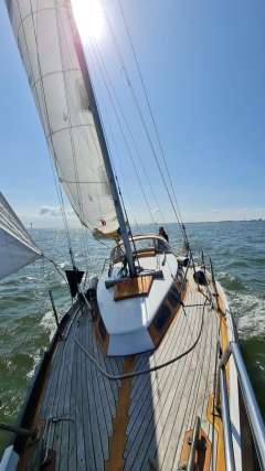 Dauelsberg Wattenkreuzer 820